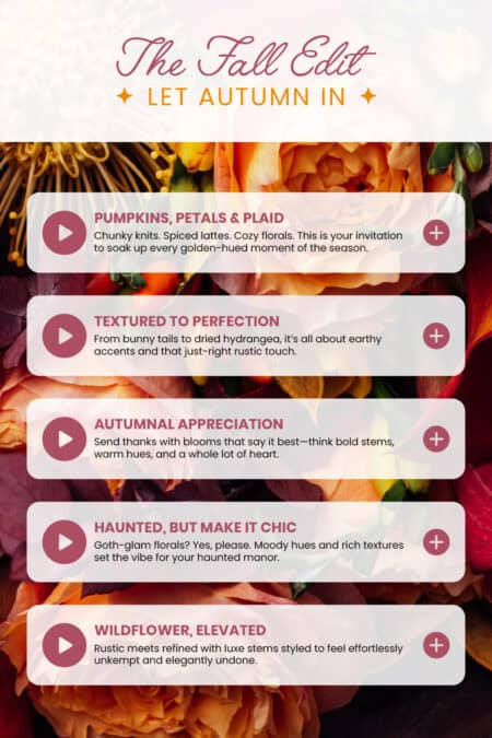 the fall edit